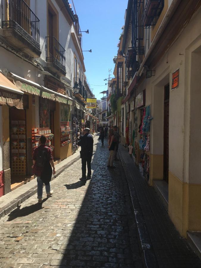 La Condesa De Vallellano Appartamento *