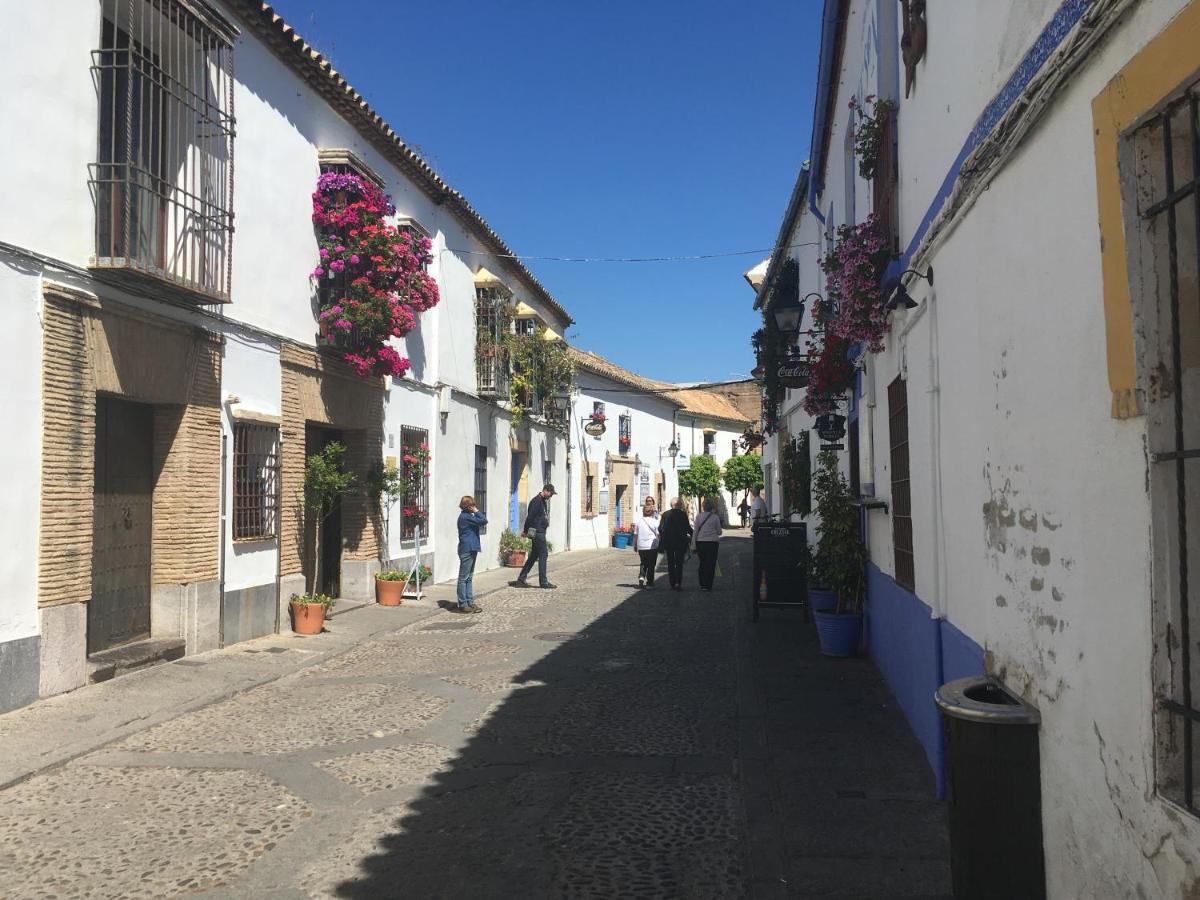 Appartamento La Condesa De Vallellano Cordova