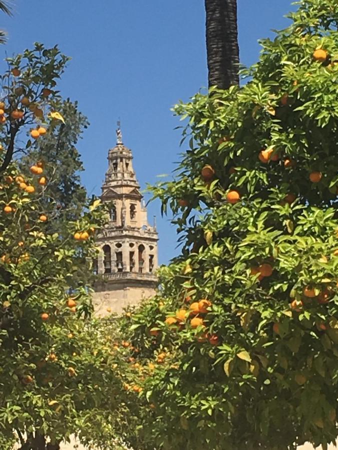 La Condesa De Vallellano Cordova