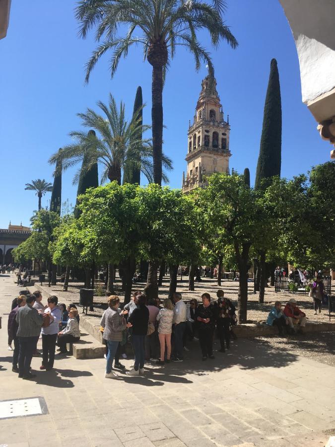Appartamento La Condesa De Vallellano *