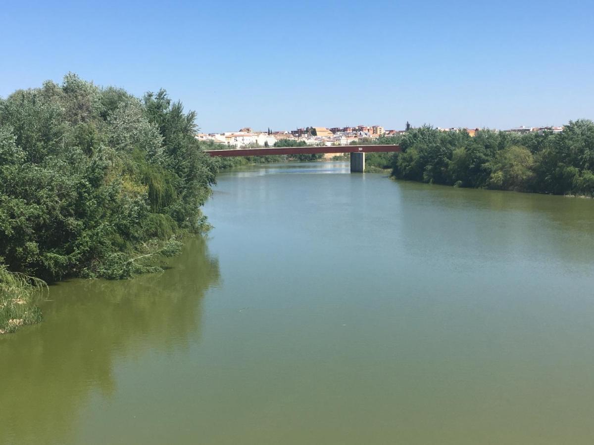 La Condesa De Vallellano Appartamento *